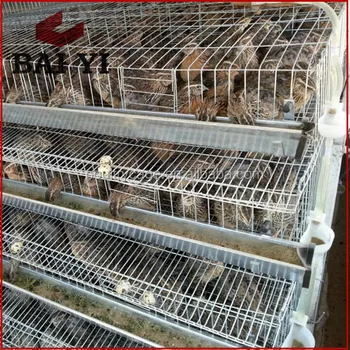 6 Layers Galvanized Quail Cage Quail Cages For Sale Quail Battery Cage Buy Galvanized Quail Cage6 Layer Galvanized Quail Cagequail Battery