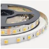 2 in 1 led 5050 Dual White LED Strip 5052 CW/WW color temperature 5m 60leds tape Lights 12/24V 2 in 1 CCT Adjustable led