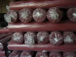 SNC11123.jpg