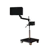 Home-use CQ-88 digital physiotherapy infrared back pain relief tdp lamp