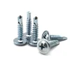 self-tapping screw