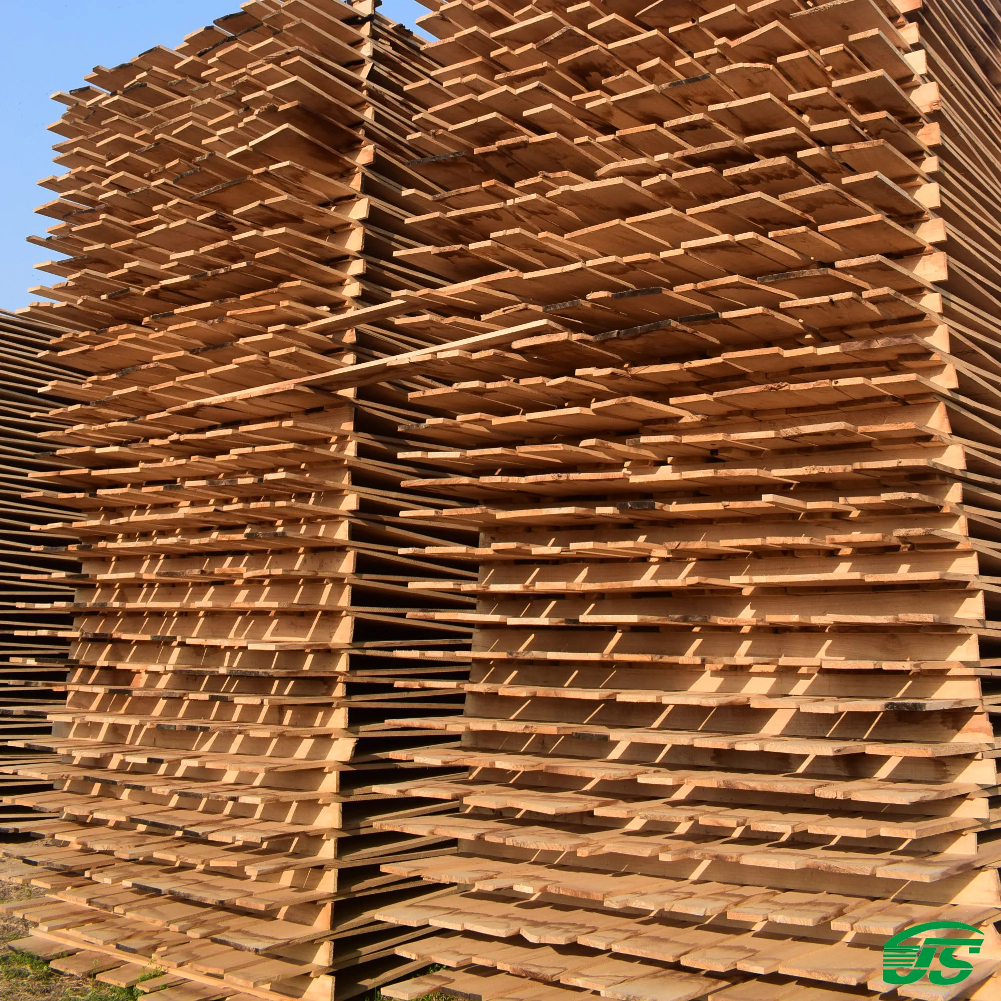 product-244-244