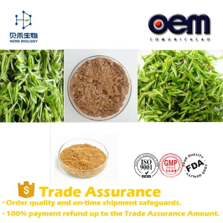 100 Natural Pure Water Soluble Green Tea Powder/bio Greentea Extract