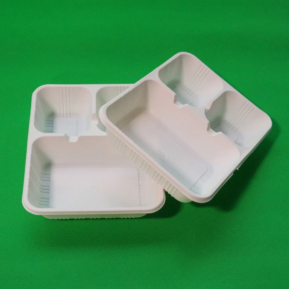 disposable plates with lids