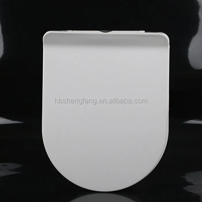 toilet seat cover.JPG