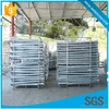 ISO approved hot dipped galv flag no dig ground screw pole anchor