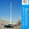 Cellular Mast and single pole Tower Antenna Monopoles Galvanized Communication Landscape Tower China Manufacturer