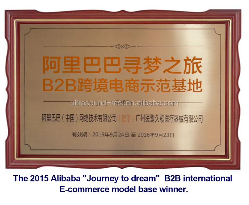The-2015-Alibaba-Journey-to-dream-B2B-international-E-commerce-model-base-winner