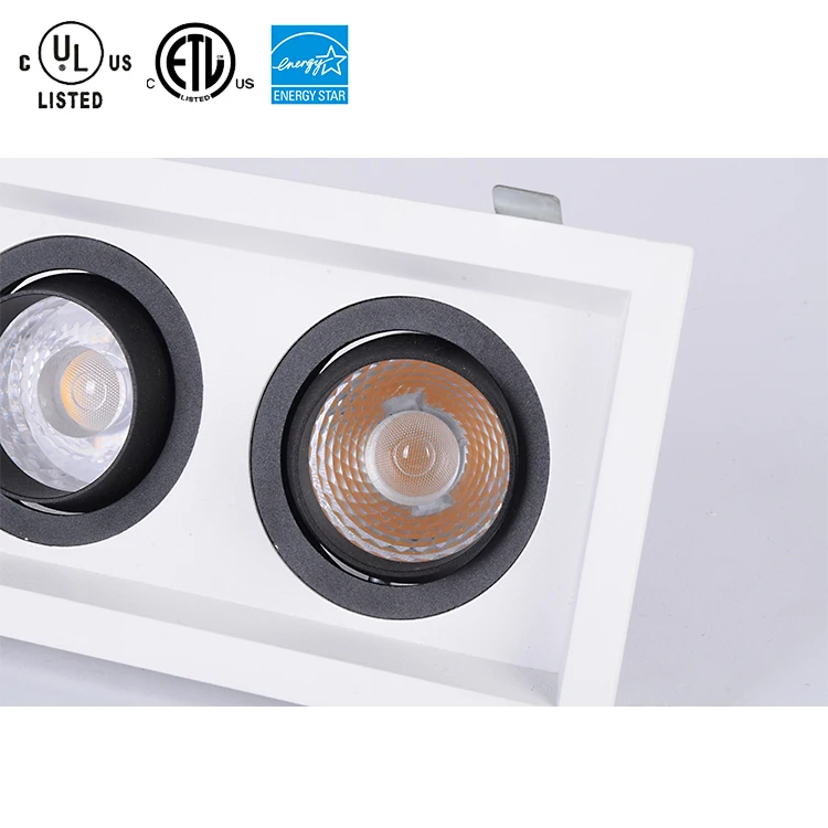 New Product Cool White 24w Module Led Multiple Downlights
