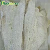 indian frozen dried salted reef cod fish fillet