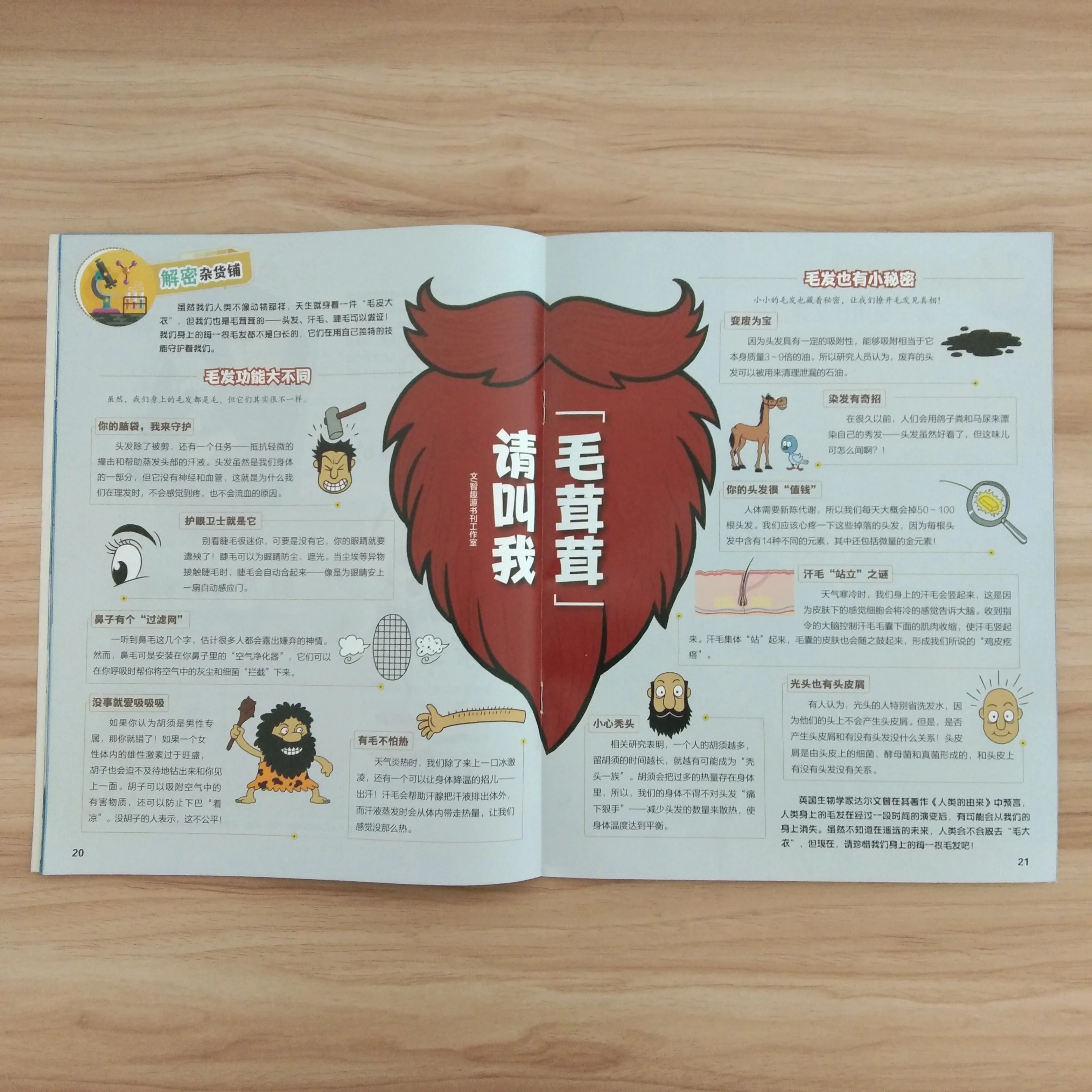 vender sapatos por catalogo