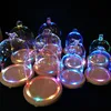 2018 hot selling hand blown glowing glass bell jar dome for decoration