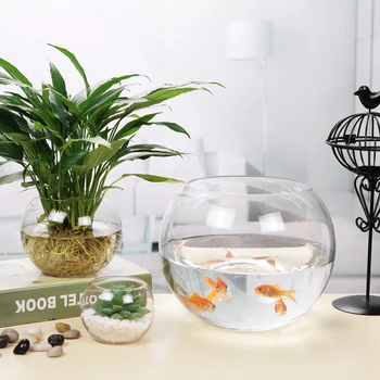 small round fish tank