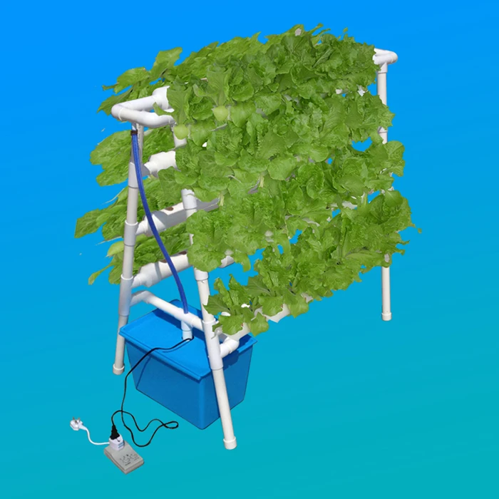 indoor.jpg