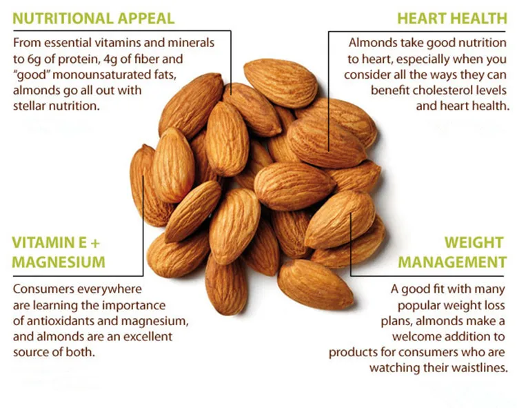 Chinese Almonds To Loss Weight