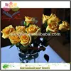 New collection article rose flower