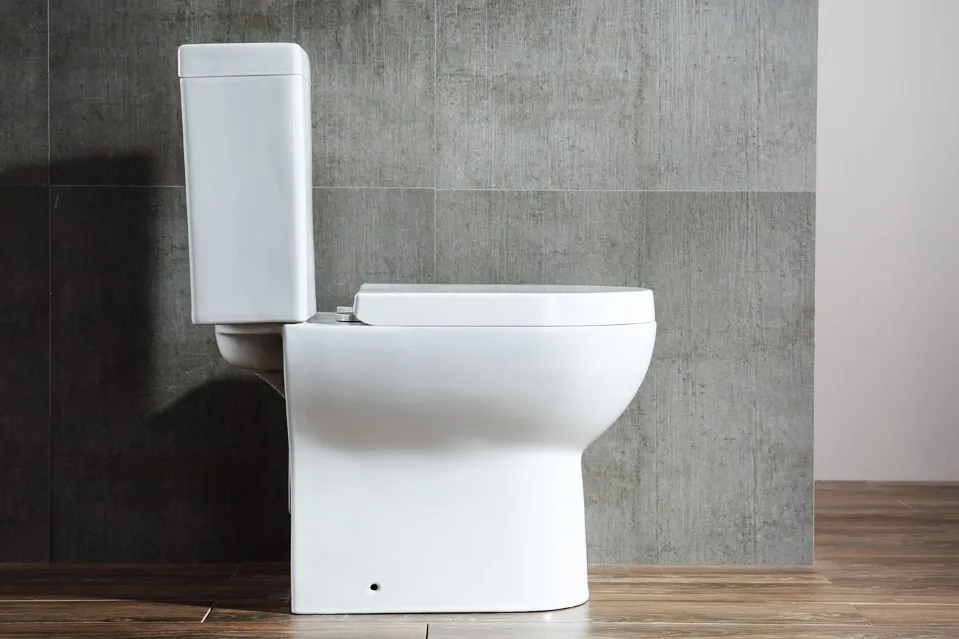 Bio Modern Ceramic Guangzhou Siphonic bath 2 piece toilet