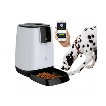 pet smart feeder automatic dog 5l bowls feeders larger