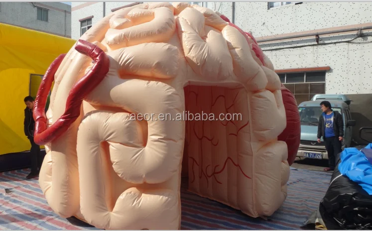 inflatable brain toy