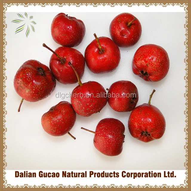 
Now Low pesticide residue HAWTHORN BERRY powder 