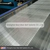 Naut Sulfur stainless steel belt pastillator line by steel belt conveyor