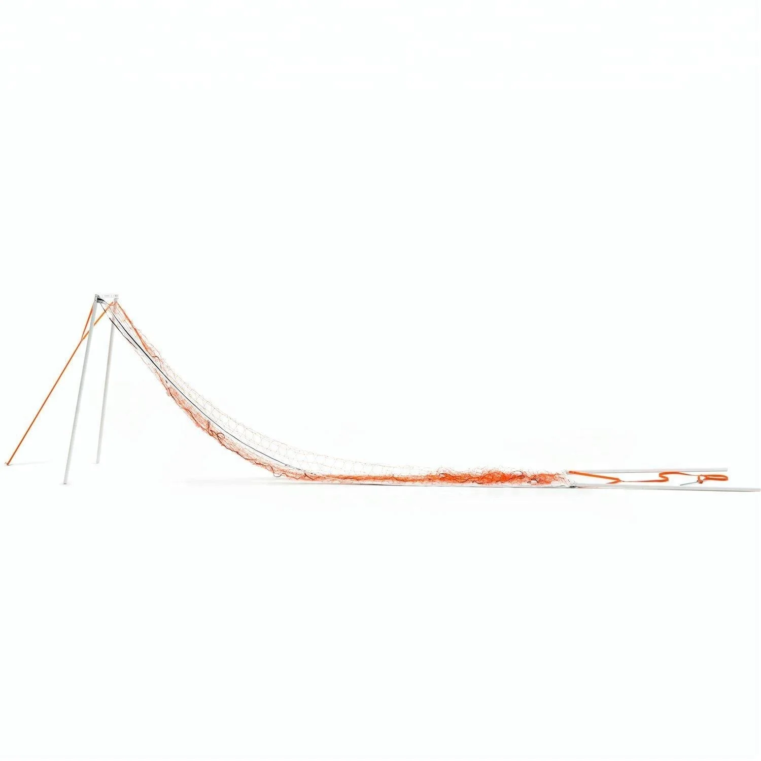 PTG_4