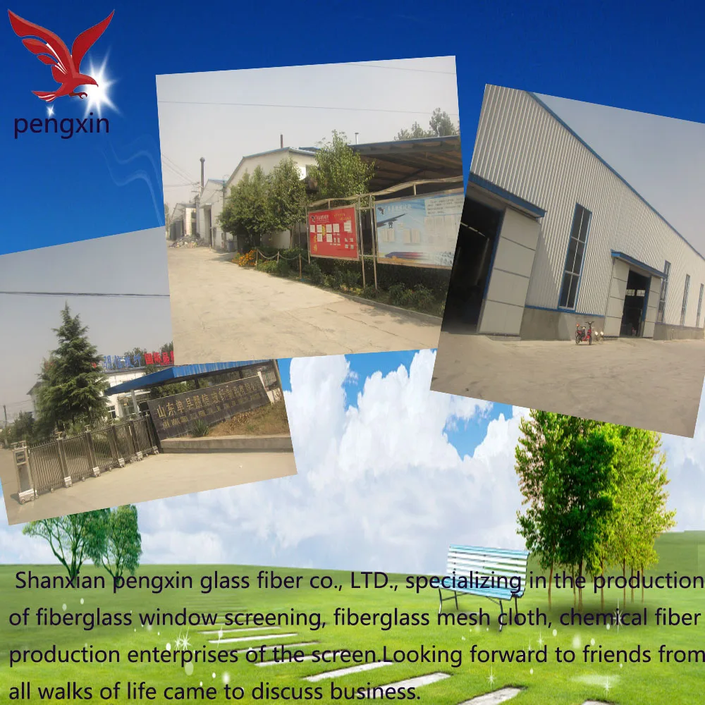 China supply roll up mosquito net/ folding window screen