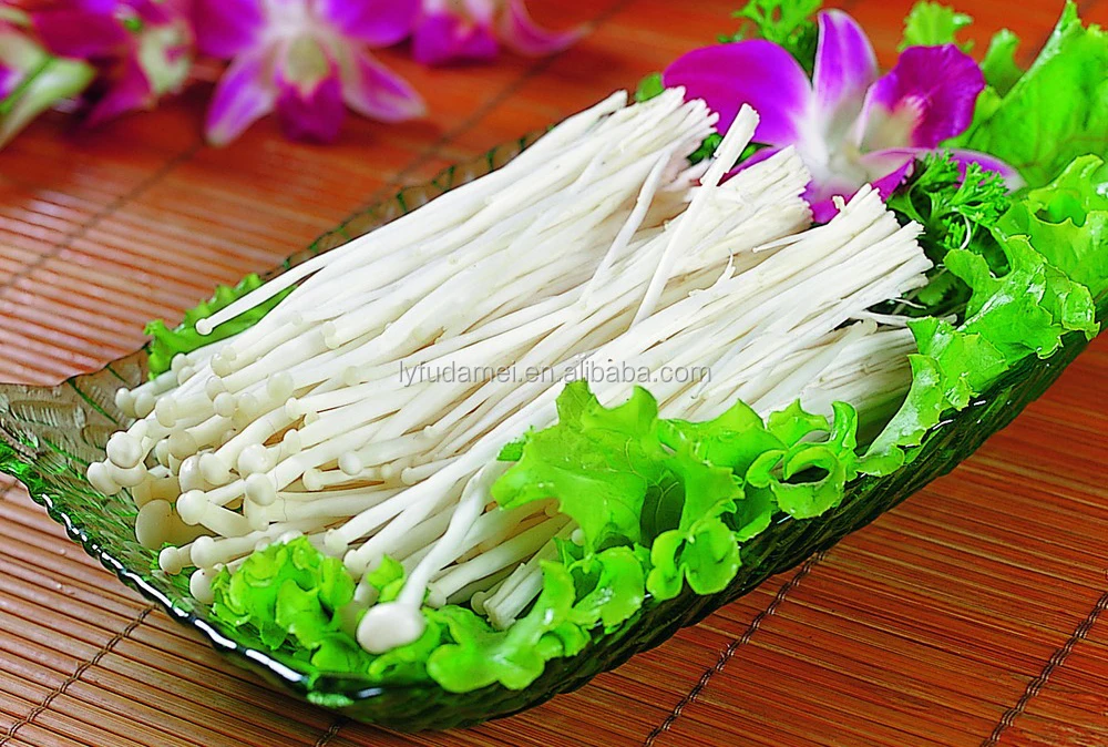 edible mushrooms/fresh golden needle mushroom/ mushrooms