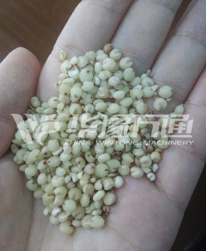 Complete Milling Machine In Botswana Seeds Processing