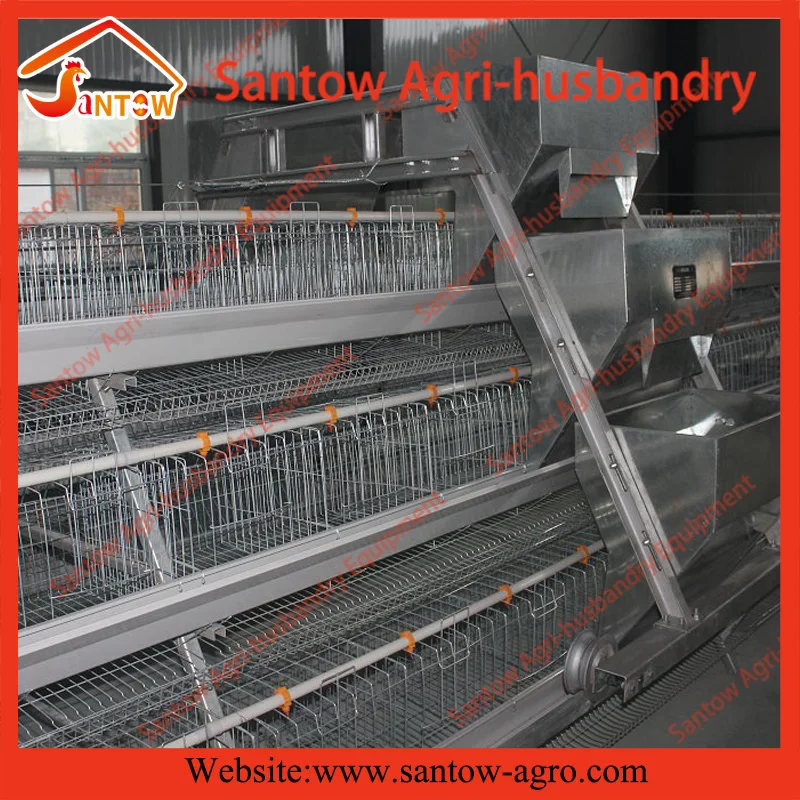 Automatic chicken cages hot galvanized poultry cage cheap price battery cage design for Uganda Nigeria Kenya Africa (460)