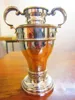 Plated Technique and Europe Regional Feature Trophies Cup Large