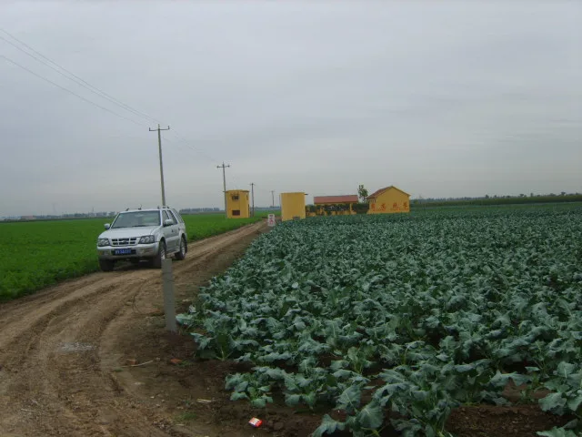 planting field 1.JPG
