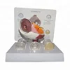 Customized Personalized Human 3D Eye Model