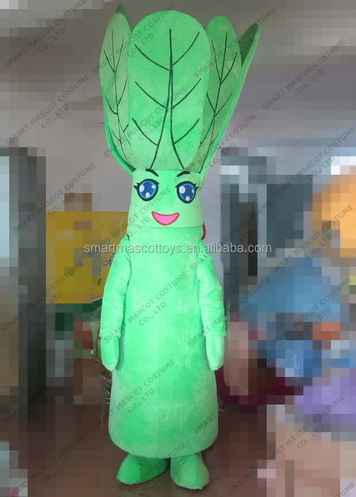 Professional Custommade Cartoon Vegetable Mascot Costume Adult The