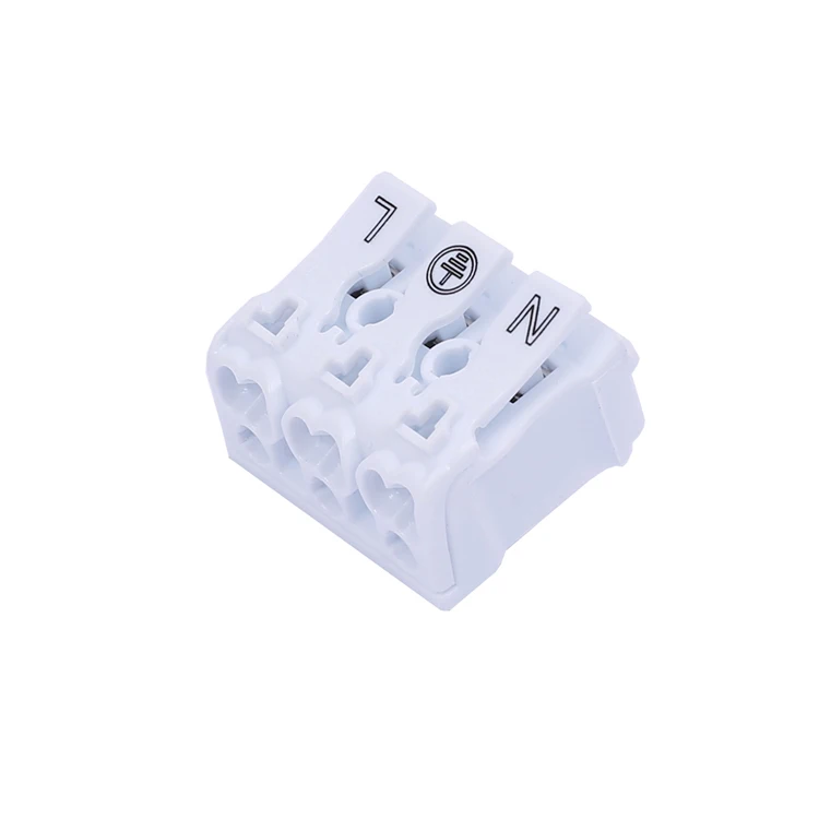 FV0A4825 .JPG