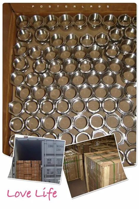 BRASS PPR INSERT.jpg