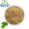 /product-detail/natural-anti-cancer-gotu-kola-extract-centella-asiatica-extract-10--60149652091.html