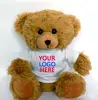 Soft Teddy Bear In White Shirt Plush Animal Toy