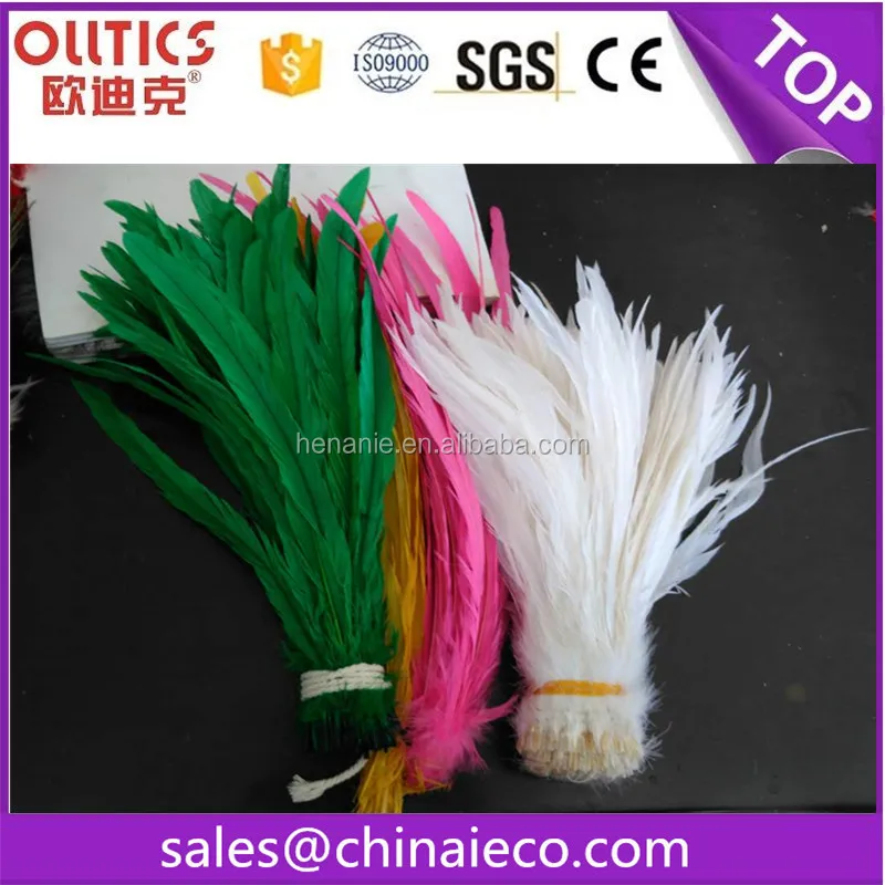 chicken feather4.jpg