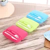 bpa free rectangle take away plastic food bento lunch box with knife and fork