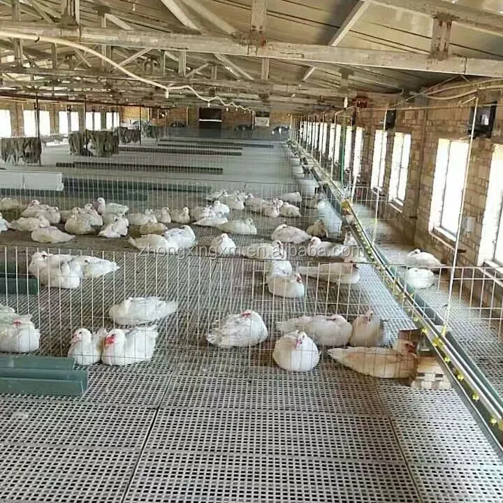1200*500*40mm Plastic Chicken Slat Floor Chicken Floor Plastic Slat