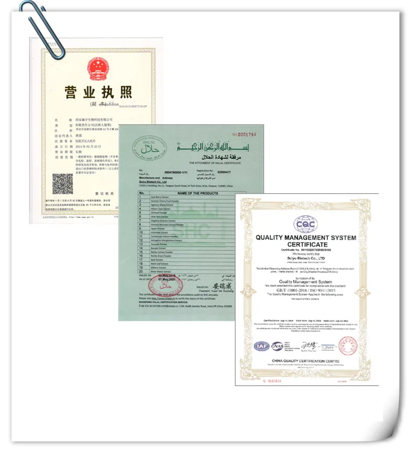 Certificates.jpg