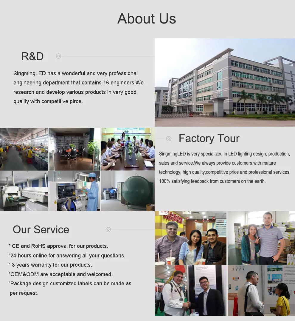 Shenzhen Singmingshine Lighting Co Ltd Ledlighting in House Lighting Co. Ltd