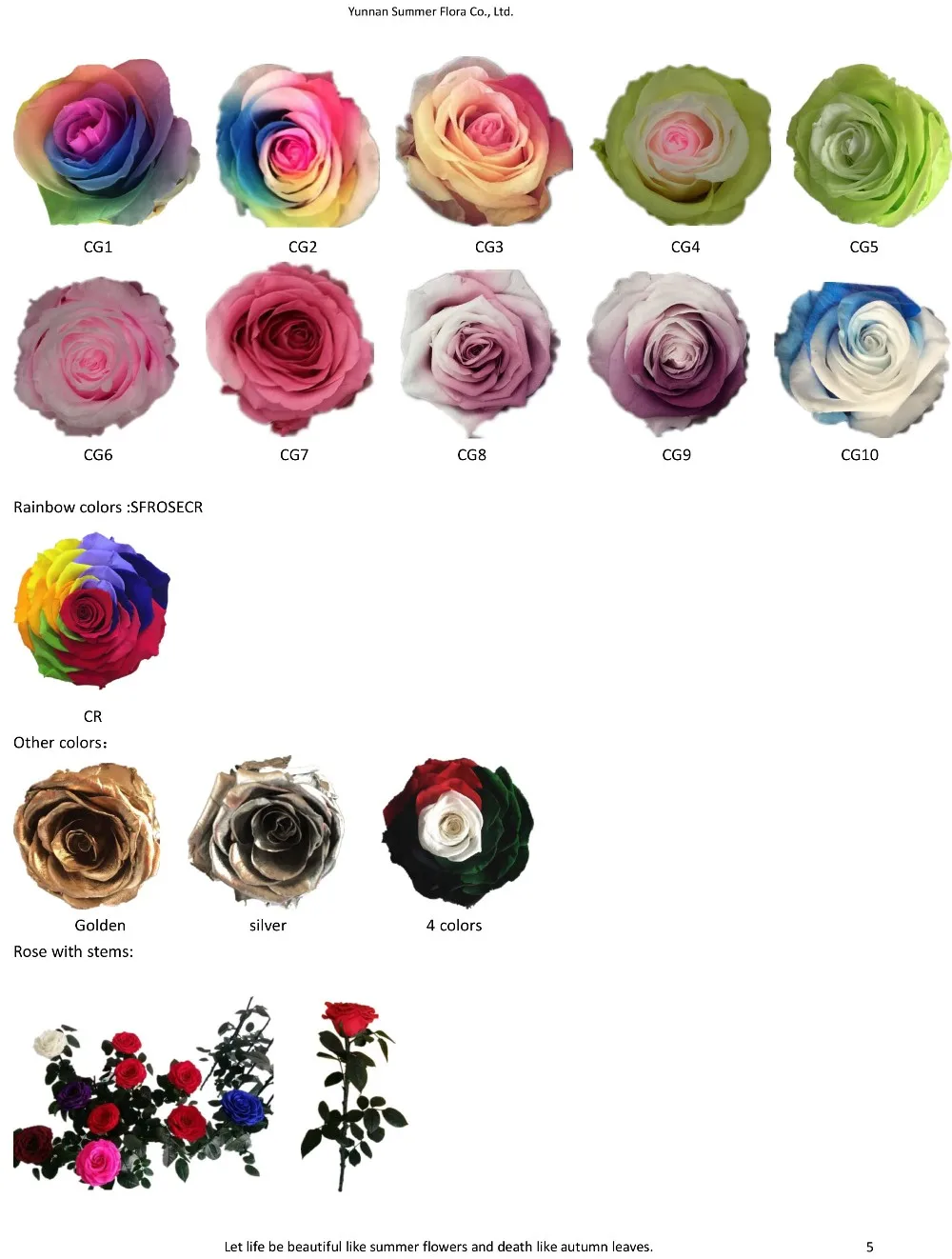 Wholesales Preserved Flower Golden Silver Colors Natural Real Preserved