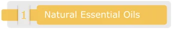 Natural Essential Oils.png
