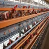 Chicken laying cage/layer egg chicken cage/poultry farm design