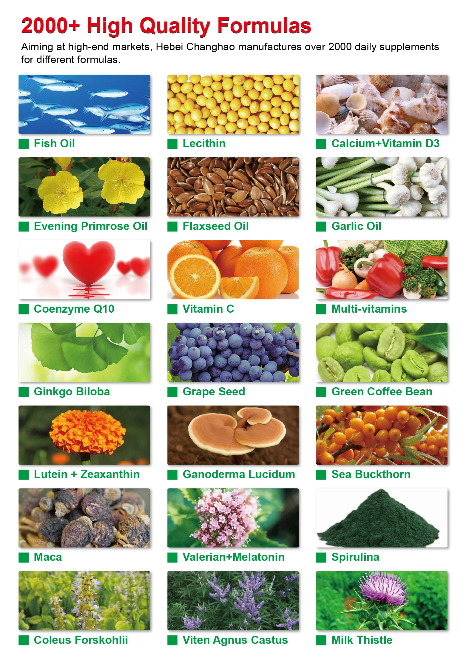 Lcarnitine 500mg/1000mg Fast Weight Loss Tablets Oem Private Label