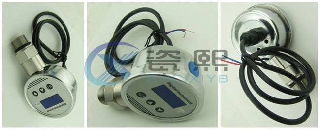 high precision Digital pressure test gauges