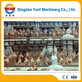High Quality Broiler Chicken Slaughter Poultry Processing Machine Poultry Slaughter Line Buy ذبح الدجاج اللاحم تجهيز الدواجن آلة خط ذبح الدواجن Product On Alibaba Com