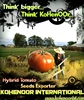 BIG JUICY RED, HYBRID TOMATO SEEDS (THINK BIGGER)